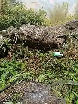 Pampirara online show from March 26, 8:53 am