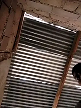 manumegumy online show from November 19, 7:25 pm