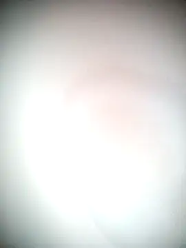 Snapshot of Ariana101 chatting on November 24, 12:05 pm Ariana101 online show from November 24, 12:05 pm