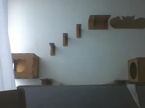 Temp7 online show from February 21, 1:23 pm