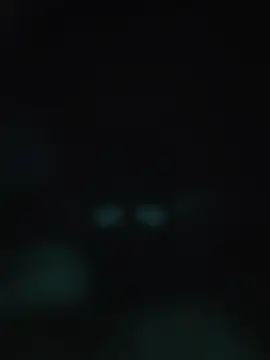 Snapshot of 00x0x00 chatting on May 20, 3:13 am 00x0x00 online show from May 20, 3:13 am