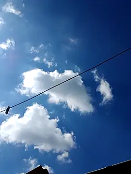 Eezxxx online show from December 17, 7:14 am