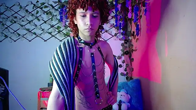 Beel zebu online show from December 4, 3:05 am