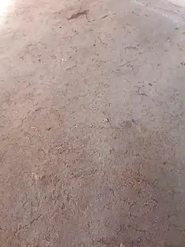 Nandani-758 online show from December 2, 10:09 am