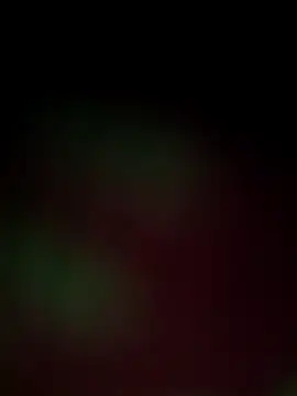 Nandani-758 online show from December 18, 12:00 pm