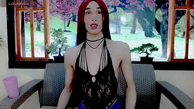 britanny noroeste online show from February 13, 3:24 am