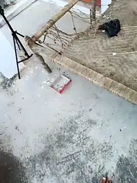 apka rockstarr online show from November 27, 9:11 am