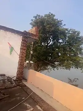 apka rockstarr online show from December 1, 2:49 am