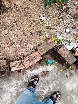 apka rockstarr online show from January 8, 6:37 am