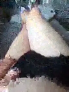 boo202179 online show from November 21, 2:27 pm