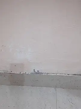 Snapshot of Alli8900 chatting on March 19, 4:11 pm Alli8900 online show from March 19, 4:11 pm