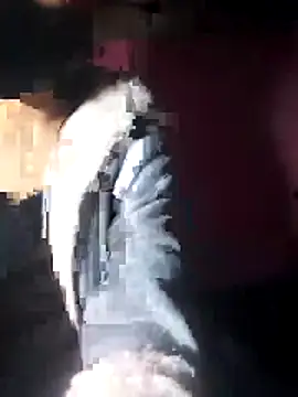 Snapshot of beba1100 chatting on November 30, 4:11 pm beba1100 online show from November 30, 4:11 pm