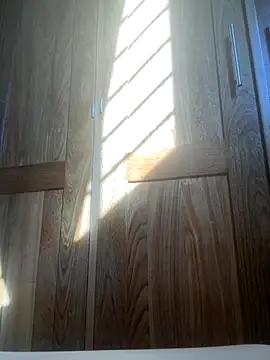 HuggingRegulus online show from November 24, 7:46 pm