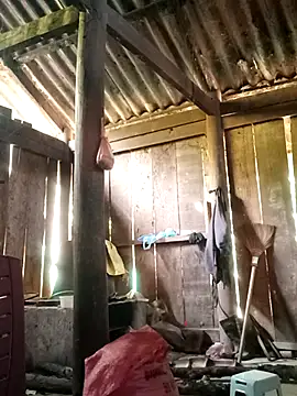 Lily-ross22 online show from November 25, 5:07 am