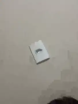 PartiedOmelet online show from January 9, 1:14 pm