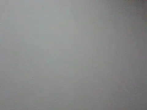 monojerez online show from February 16, 6:31 am