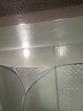 muti99 online show from February 8, 12:52 pm