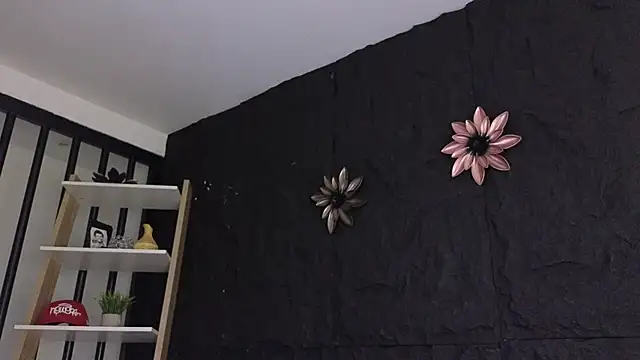 Paulo 527 online show from January 8, 9:06 pm