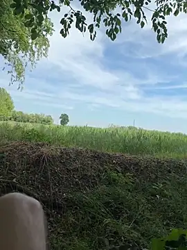 marconordic online show from April 26, 12:58 pm