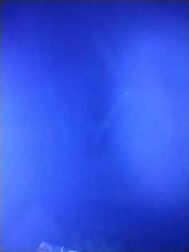 qaarlyfogosa online show from February 11, 10:31 am