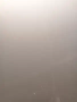 Shivani555 online show from December 1, 11:15 am