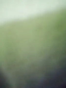 HKOOOH80 online show from November 27, 11:40 pm