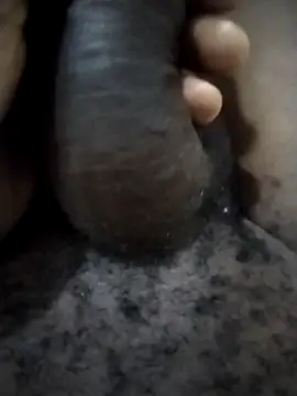 Snapshot of Piazza21 chatting on February 11, 4:50 am Piazza21 online show from February 11, 4:50 am