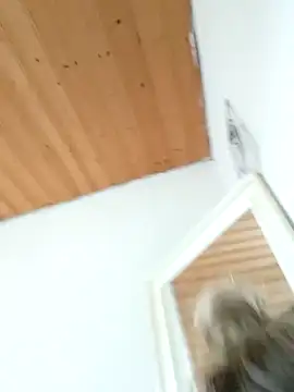 Milas Dreams OF online show from December 15, 8:40 am