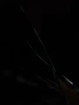 hot8veera online show from December 2, 12:32 pm