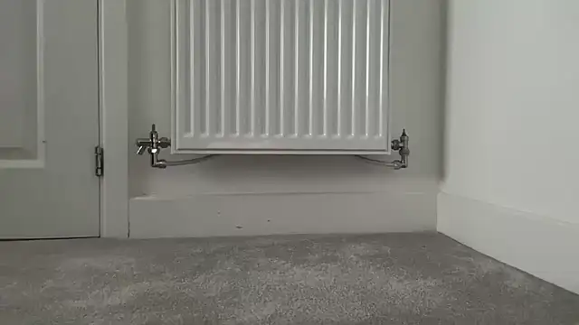 RandyRik online show from December 18, 9:48 am