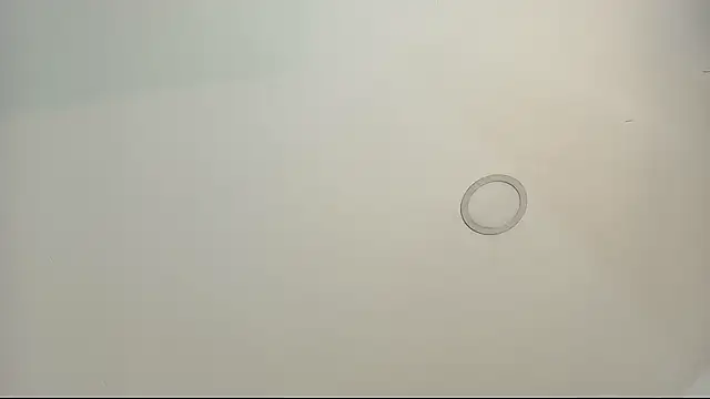 tamara walter online show from February 13, 3:52 pm