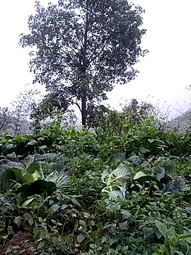 Snapshot of sary-hot2x chatting on February 24, 10:46 am sary-hot2x online show from February 24, 10:46 am