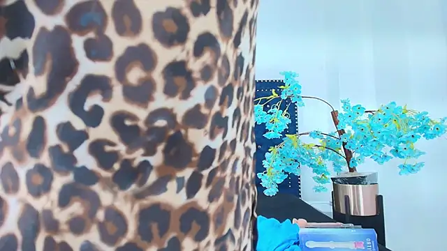 Velora nigth online show from April 7, 11:43 am