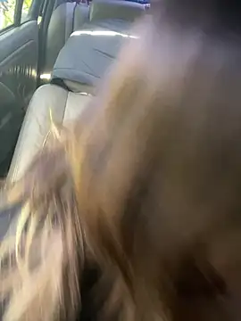 loxzjr online show from January 14, 6:13 pm