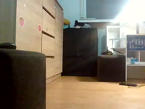 Snapshot of StickyIckyGeckon chatting on April 6, 12:41 am StickyIckyGeckon online show from April 6, 12:41 am