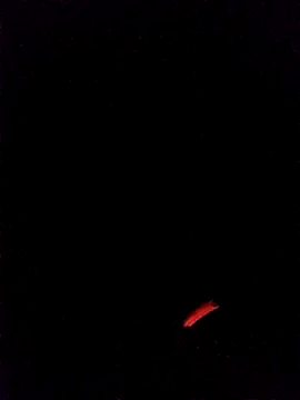 Snapshot of leobct555 chatting on March 22, 3:10 am leobct555 online show from March 22, 3:10 am