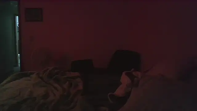 Snapshot of dixielover1229 chatting on December 16, 4:06 am dixielover1229 online show from December 16, 4:06 am