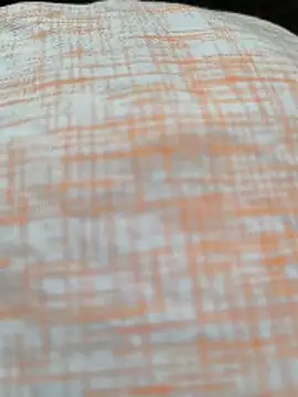 White-Rose-Telugu online show from December 19, 4:14 pm