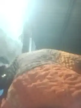 Snapshot of Pinki_rajak chatting on January 11, 7:08 pm Pinki rajak online show from January 11, 7:08 pm