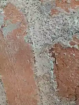 Snapshot of Soniya5533 chatting on December 14, 9:03 am Soniya5533 online show from December 14, 9:03 am