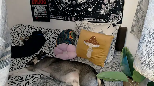 AlienforTwenty online show from February 26, 8:57 am