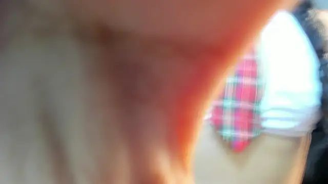 valeria dark  online show from January 17, 8:12 pm