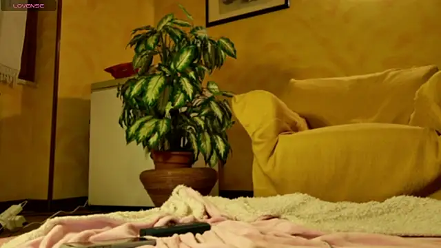 mark ariete online show from February 24, 6:39 pm