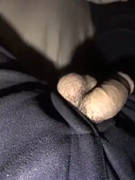 lion kun online show from December 15, 9:13 am