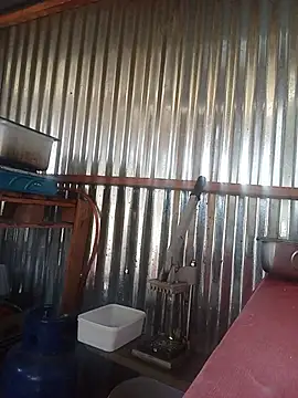 thabisozxz online show from July 10, 1:36 pm