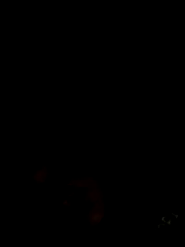 Snapshot of Jesica_08 chatting on December 19, 10:06 pm Jesica 08 online show from December 19, 10:06 pm