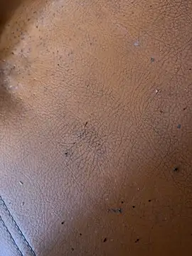 solecito sex  online show from June 2, 4:42 pm