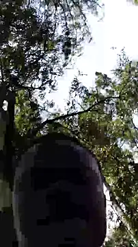 Snapshot of TheVersCouple chatting on January 15, 11:26 am TheVersCouple online show from January 15, 11:26 am