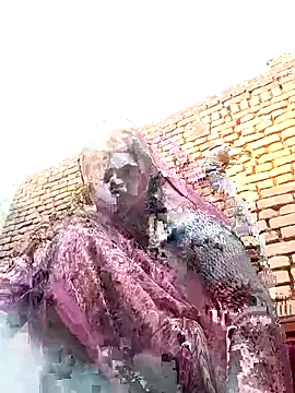 Rakhi cut online show from January 12, 3:01 am