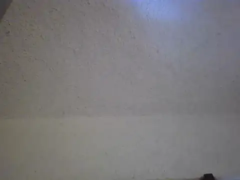 Snapshot of zandyplus chatting on April 3, 10:13 am zandyplus online show from April 3, 10:13 am